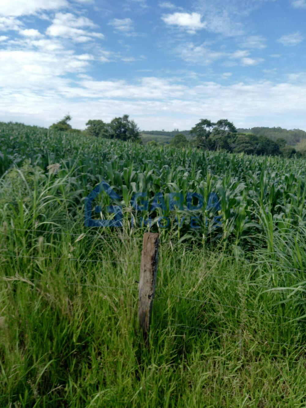 Garda Imveis em So Loureno do Oeste/SC