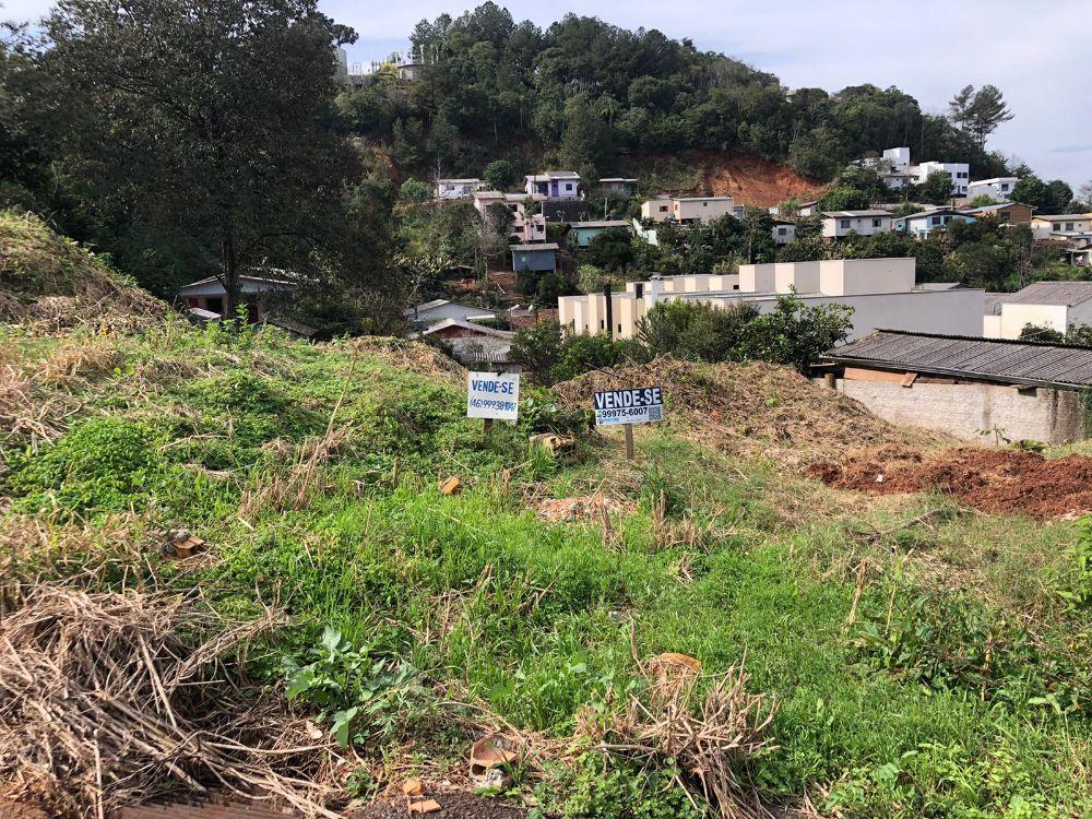 LOTE LOCALIZADO NO BAIRRO CRISTO REI 