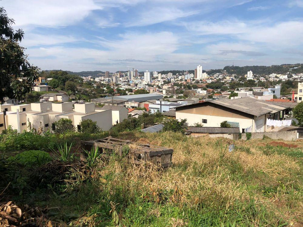 LOTE LOCALIZADO NO BAIRRO CRISTO REI 