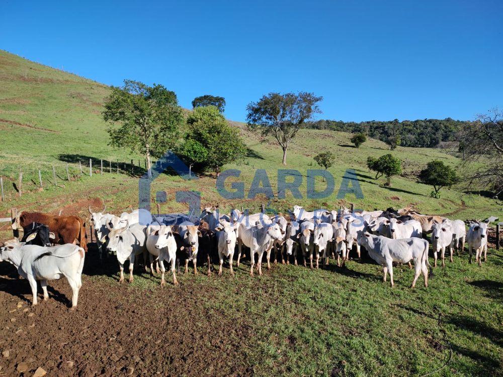 Garda Imveis em So Loureno do Oeste/SC