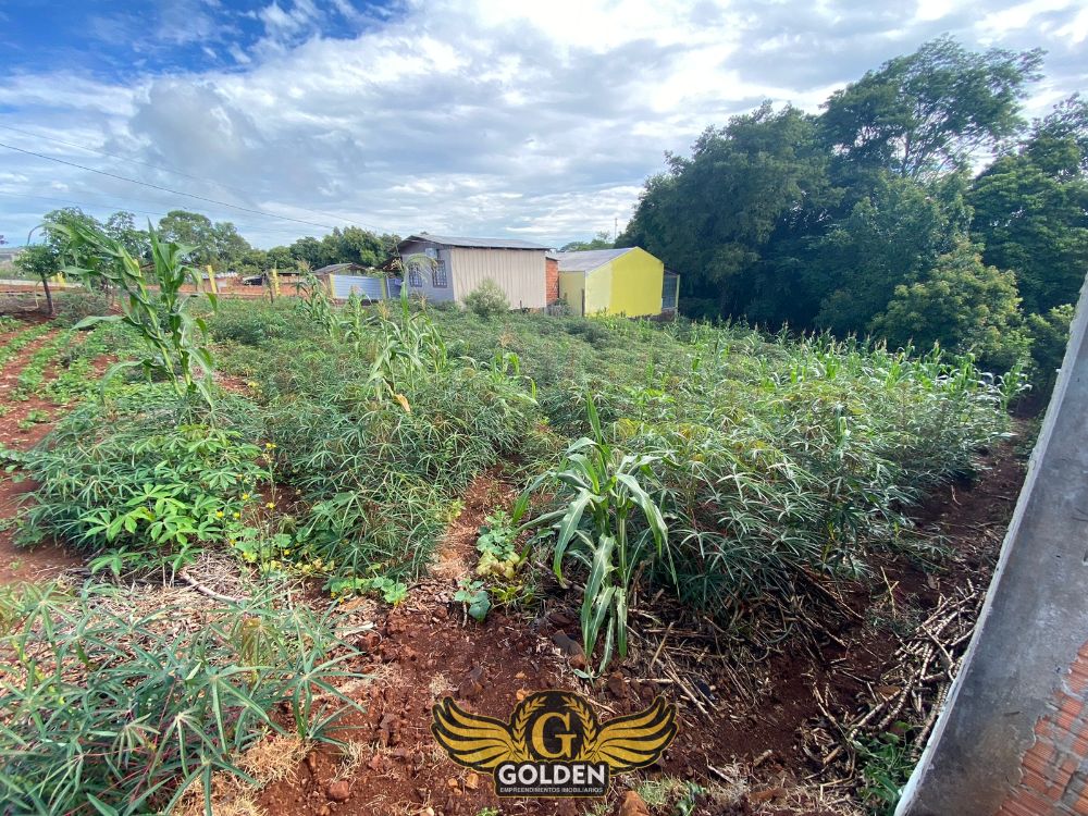 TERRENO COM FUNDO PARA RESERVA NO BAIRRO NOVO MUNDO