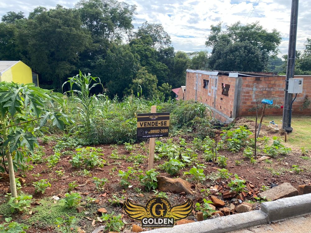 TERRENO COM FUNDO PARA RESERVA NO BAIRRO NOVO MUNDO