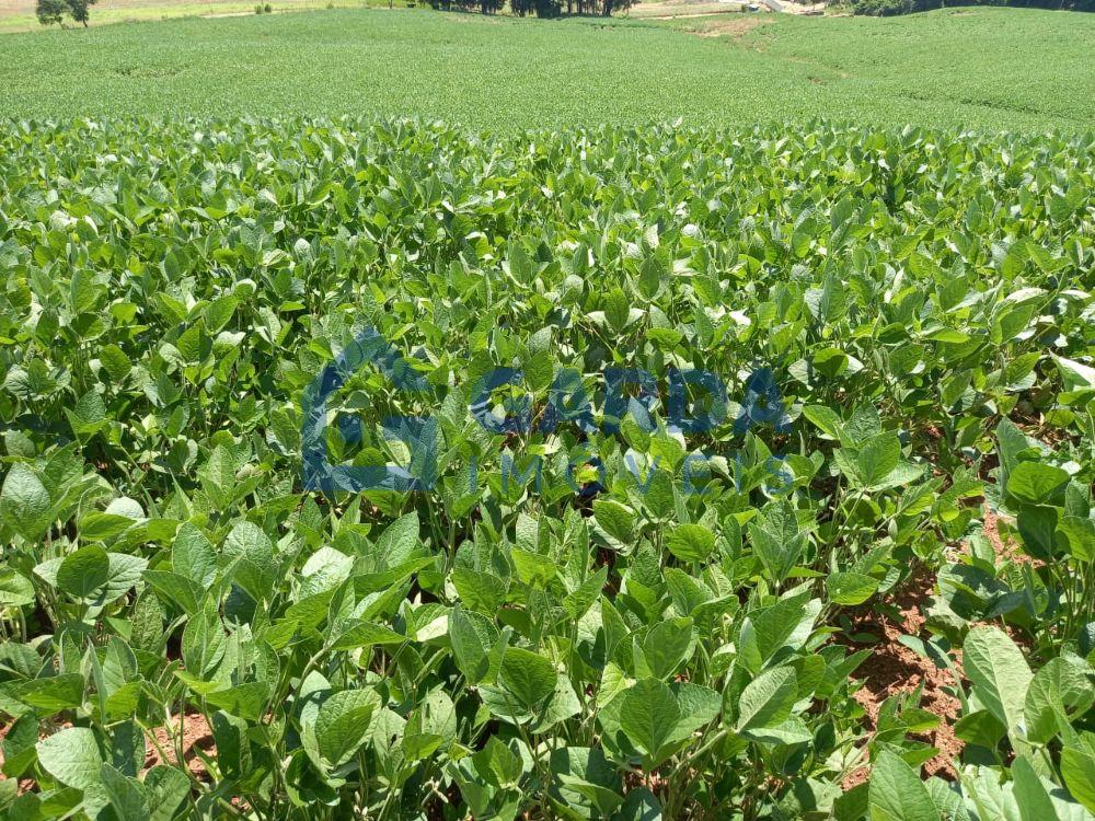 Linda rea de terra a menos de 2 km do asfalto