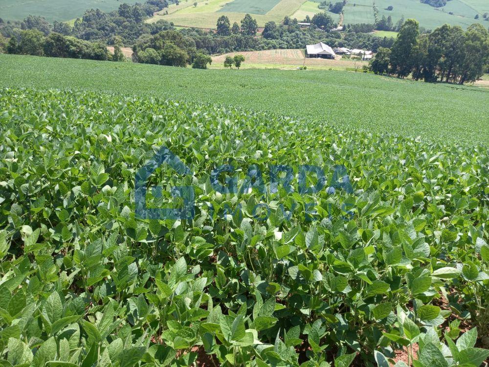 Garda Imveis em So Loureno do Oeste/SC