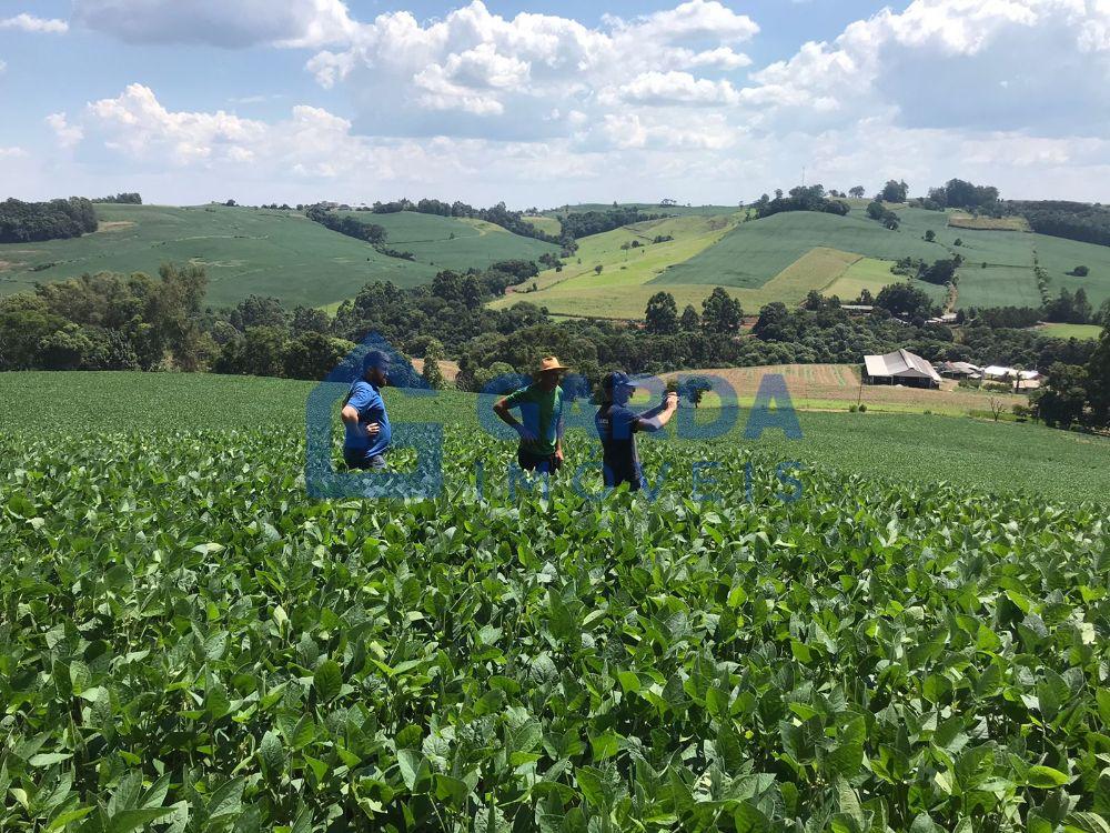 Garda Imveis em So Loureno do Oeste/SC