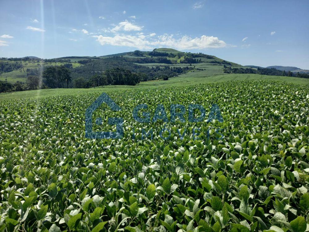 Garda Imveis em So Loureno do Oeste/SC