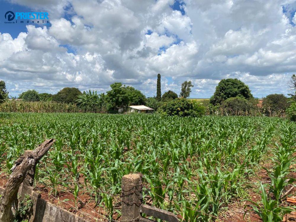 Lindo lote localizado em Cidade Brasiliana em distrito de Tupãssi - PR