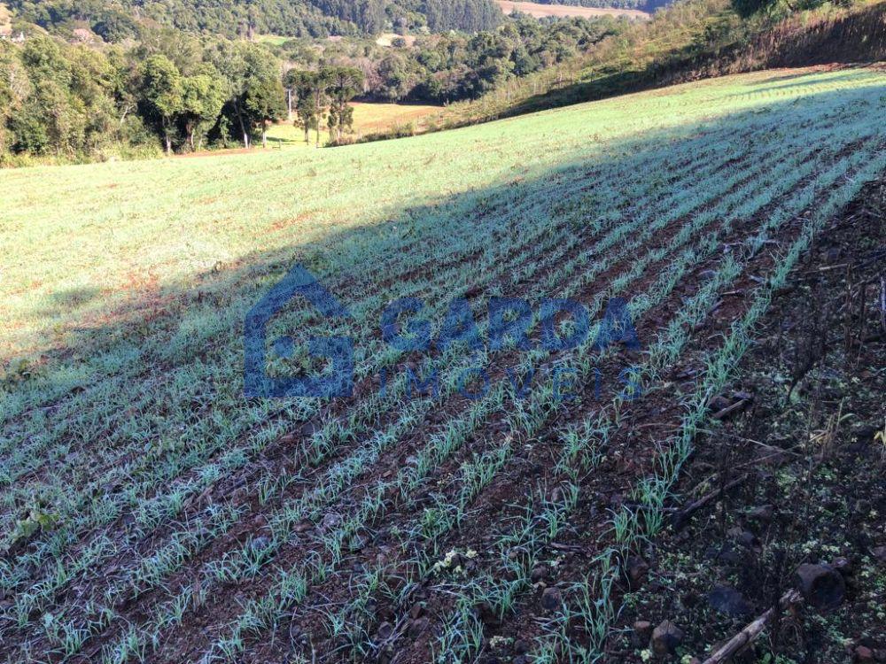 Garda Imveis em So Loureno do Oeste/SC