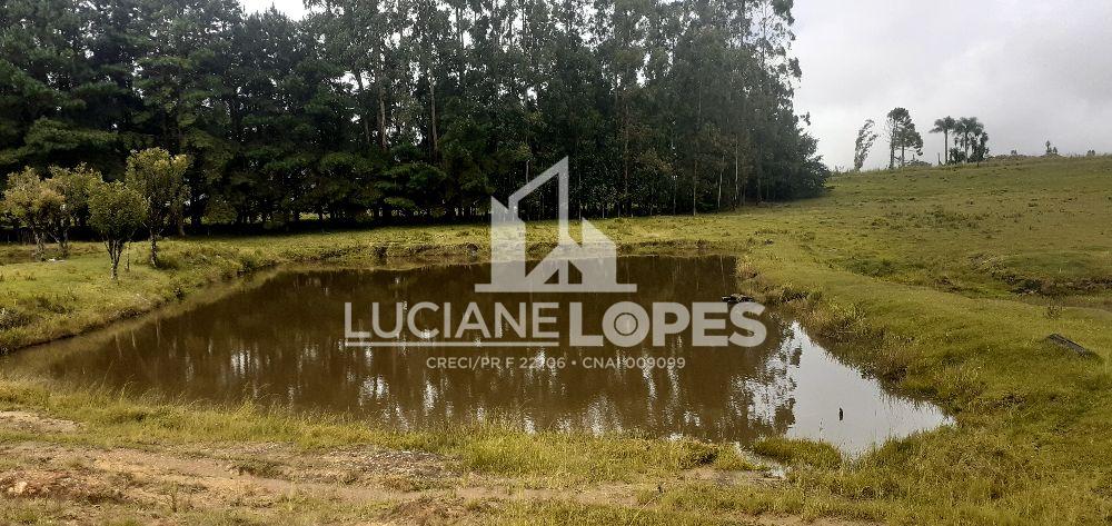 Luciane Lopes Corretora em Castro - PR