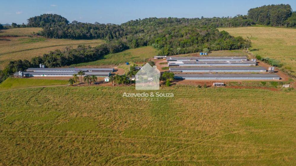 REA COM AVIRIOS REGIO SUDOESTE DO PARAN 