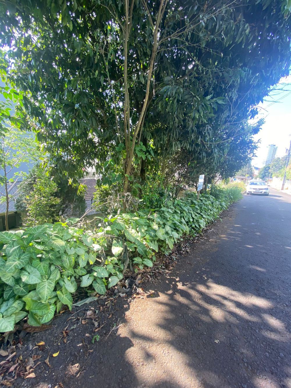 TERRENO NO BAIRRO N.S. APARECIDA