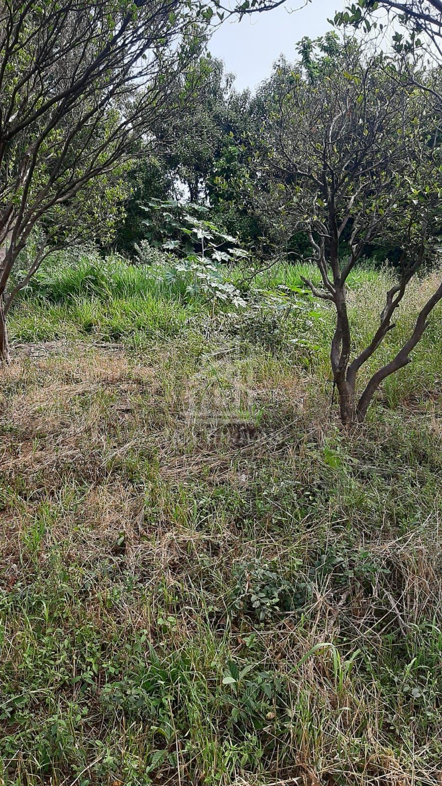 JKa Imveis Em Guarapuava - PR