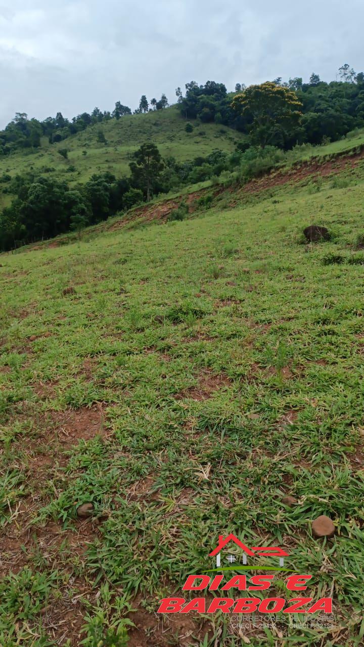 rea rural de 15 alq, localizada na Linha XV de Novembro em Pinhal de So Bento.