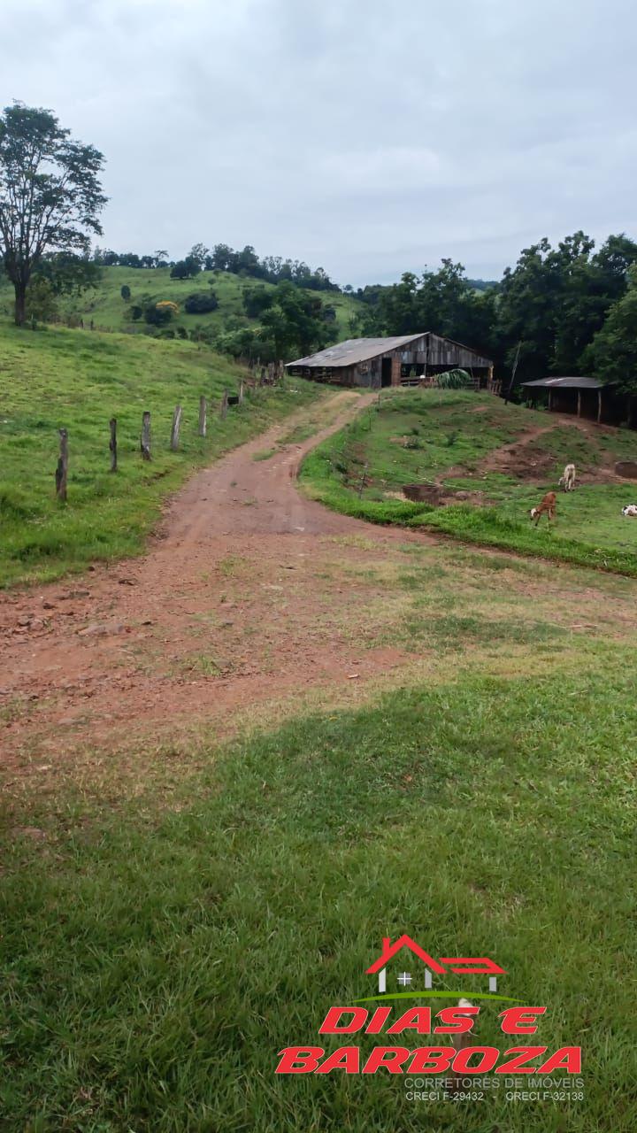 Dias e Barboza Corretores de Imveis em Ampre PR