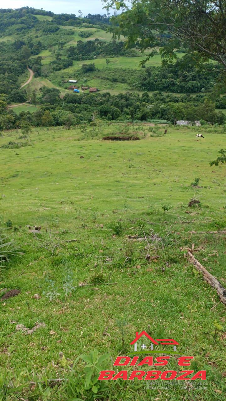 Dias e Barboza Corretores de Imveis em Ampre PR