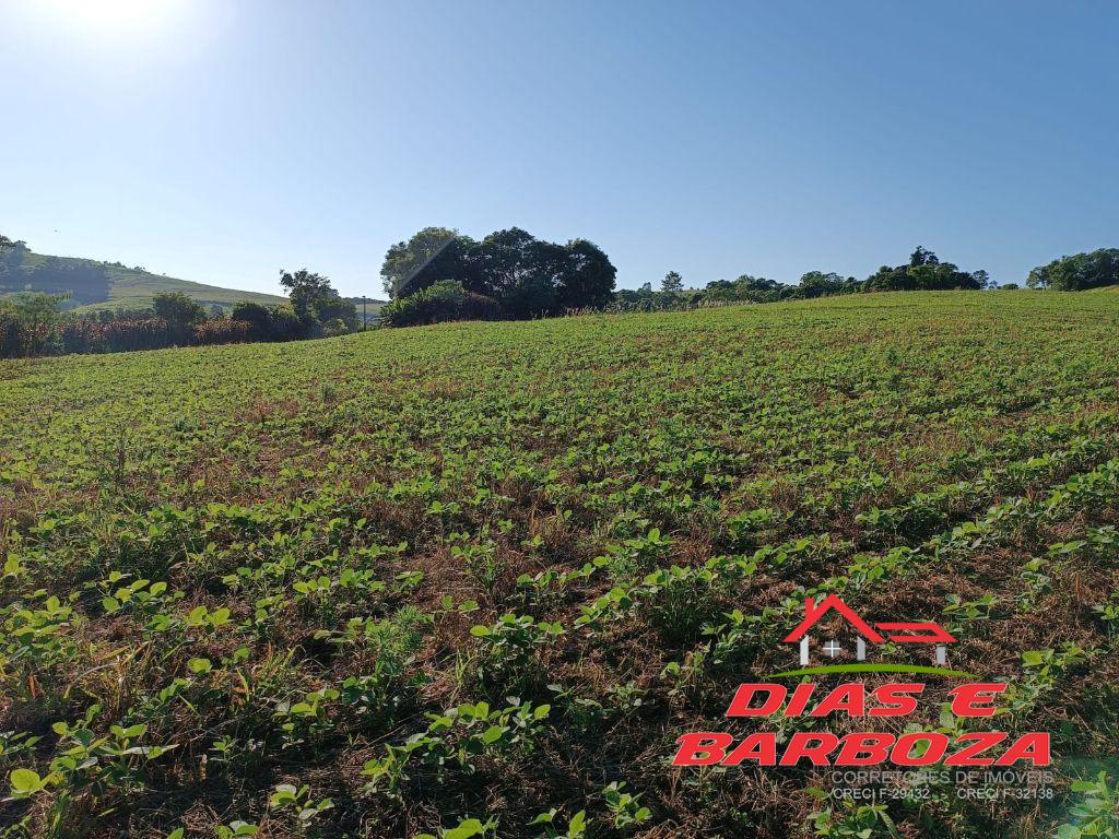 Stio de 2,64alq, sendo 80% mecanizada, localizada Santo Antonio do Sudoeste. 