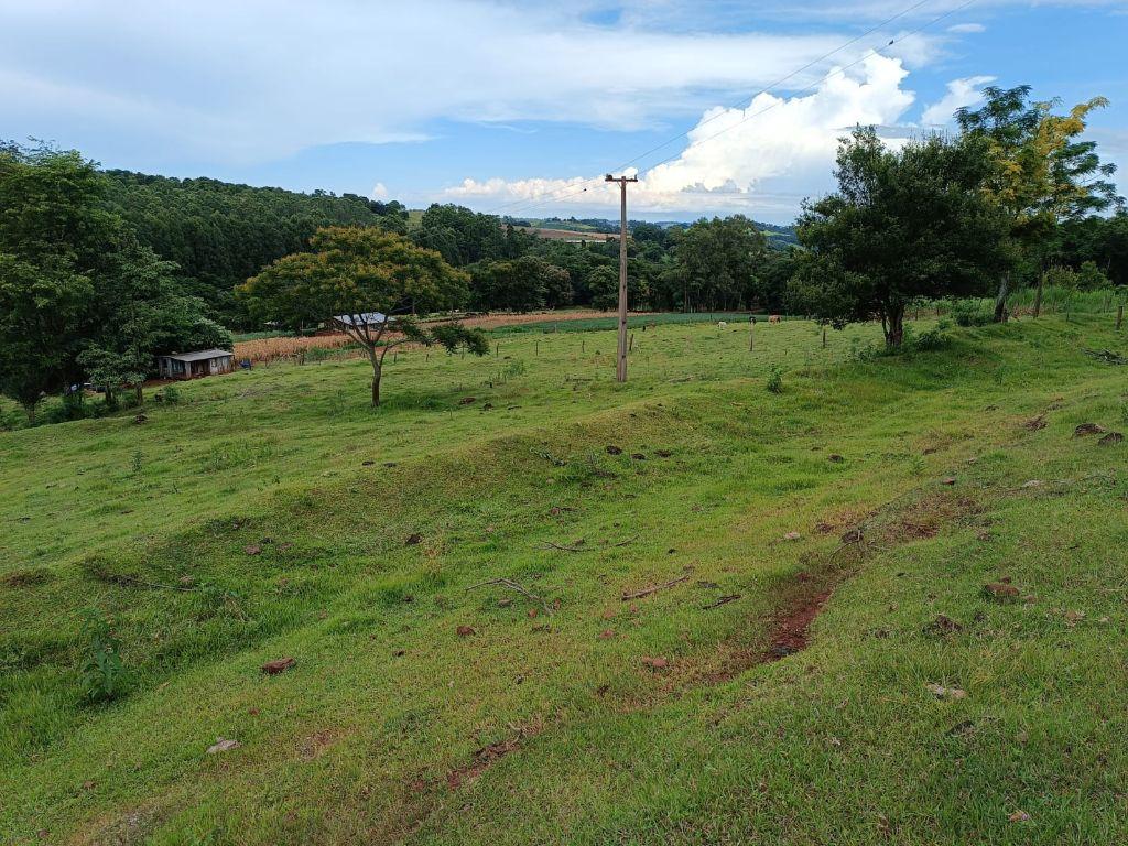 Dias e Barboza Corretores de Imveis em Ampre PR