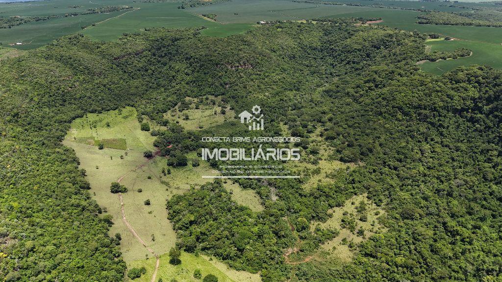 FAZENDA COM 52 HECTARES BANDEIRANTES -MS