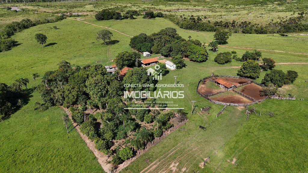 fazenda com 955 hectares em Camapuã