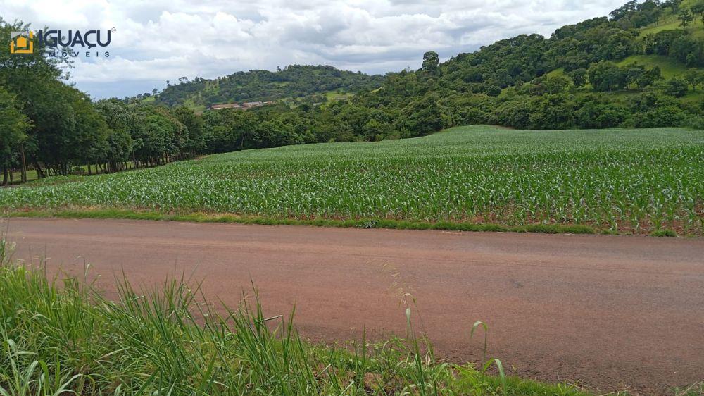 Chácara para Venda em Medianeira - PR. 