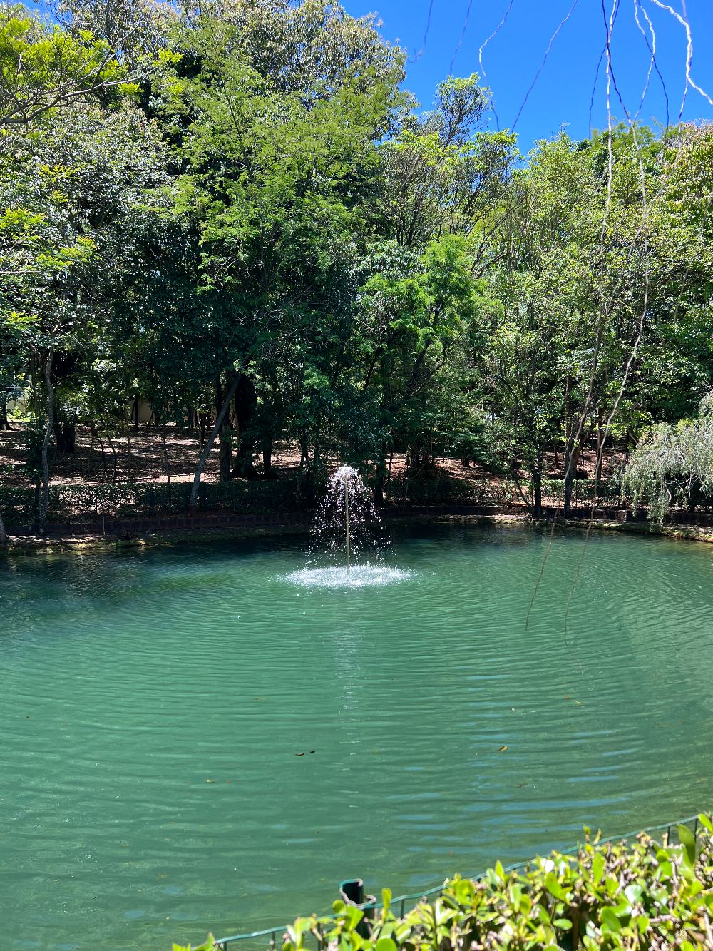 Frana Imveis em Foz do Iguau PR