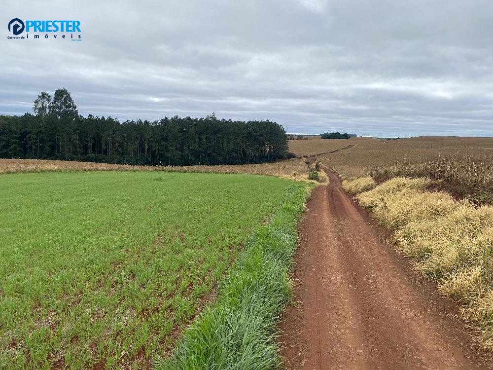 *Oportunidade Única! Área Rural Ideal para Agroindústria à Venda  Menino Jesus*