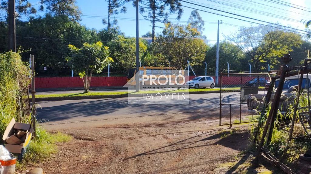 Prolo Imveis em Francisco Beltro