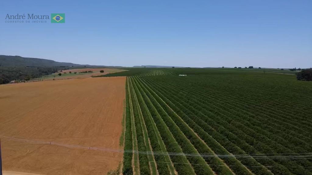 65 hectares de cafe na melhor Região de Patrocinio