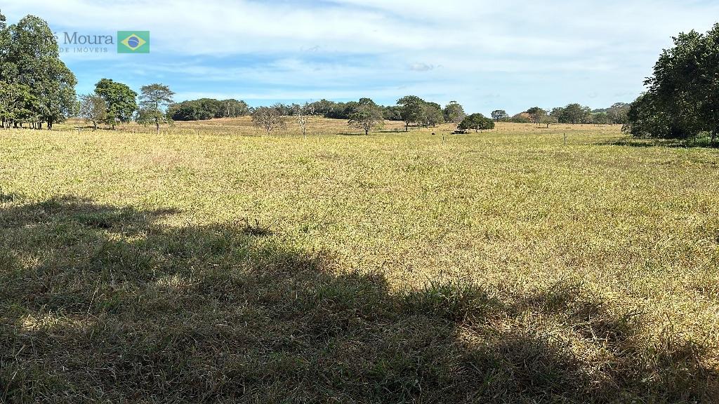 35 hectares a venda ideal para café