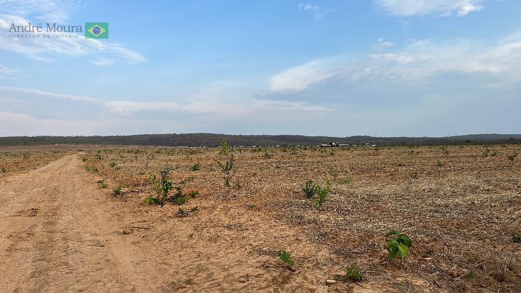 Fazenda de 15 mil hectares exclusiva