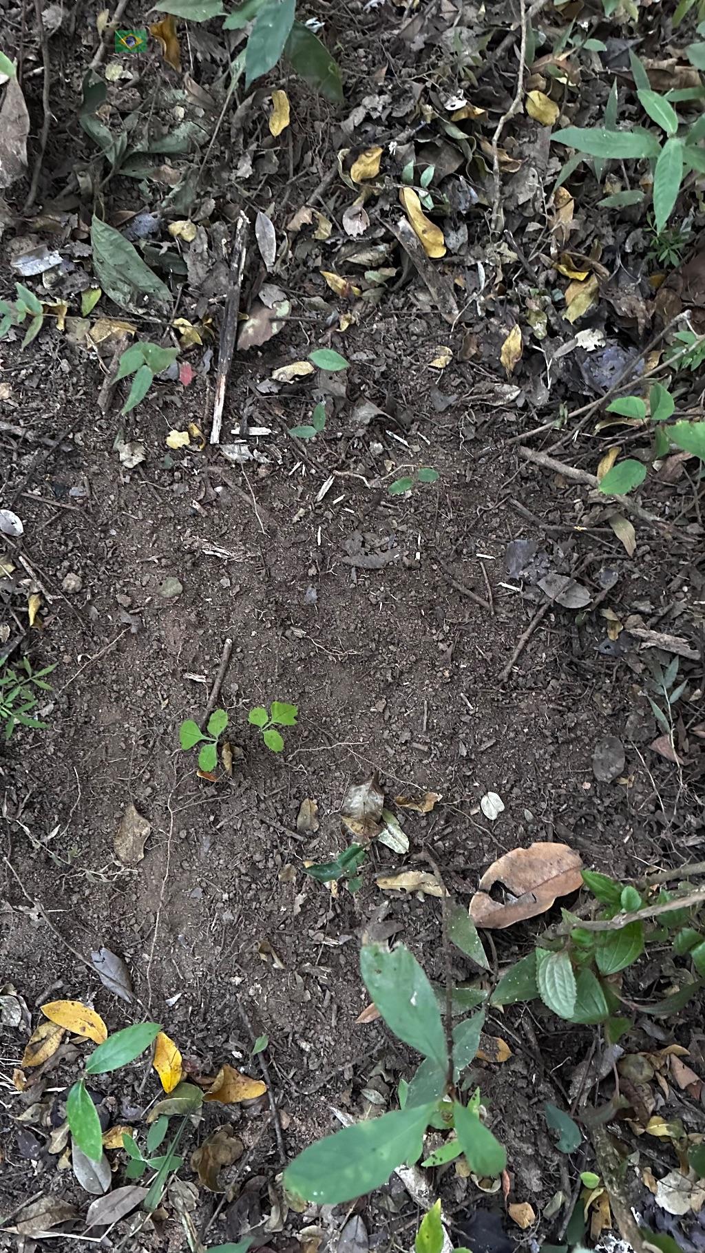 Fazenda de 128 hectares com outorga para captação de água