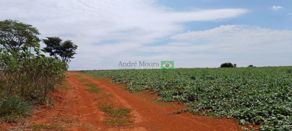 67 hectares para HF e café 