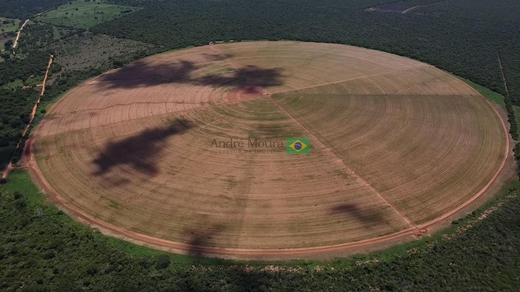 Área de pivô a venda 