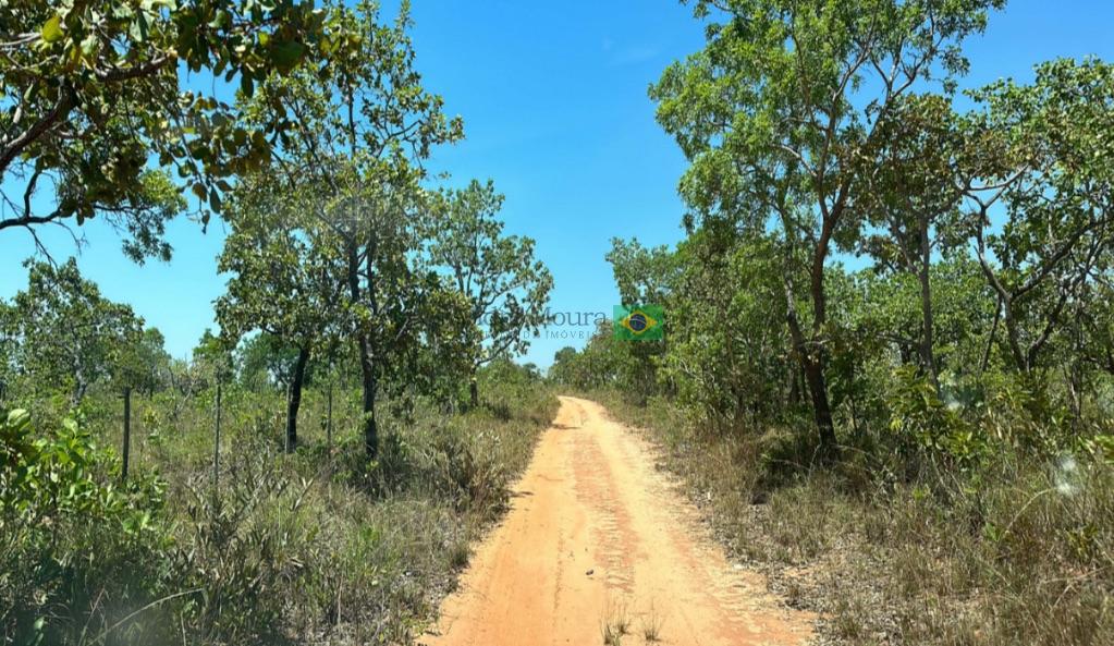 1000 hectares para soja 