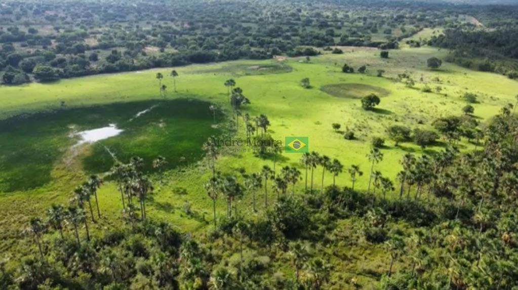 Fazenda de 4880 hectares para pecuária 