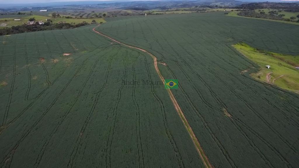 Fazenda de 650 Hectares com Solo Argiloso a 1.000 metros de al...