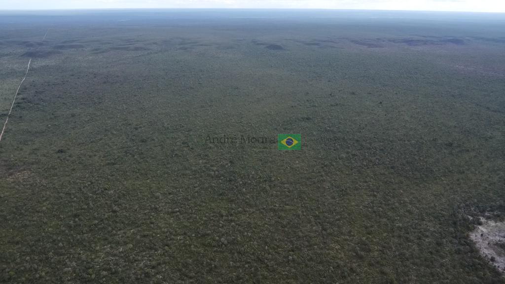 6.600 hectares para soja com muita agua para piv?