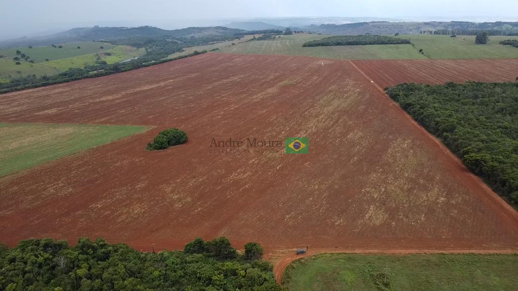 880 hectares na melhor região produtora de café 