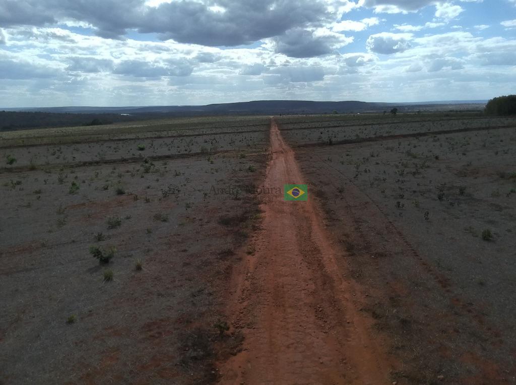 Área de Pivô à Venda