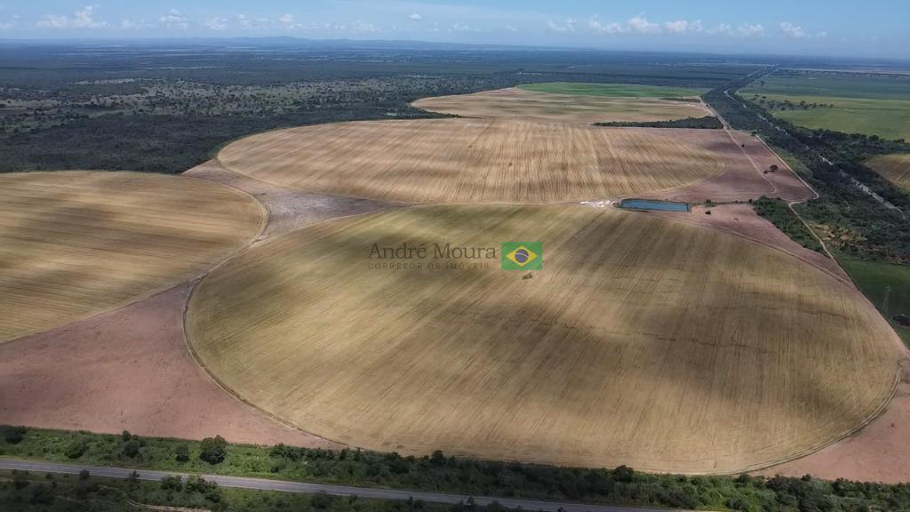 360 hectares de pivô a venda 