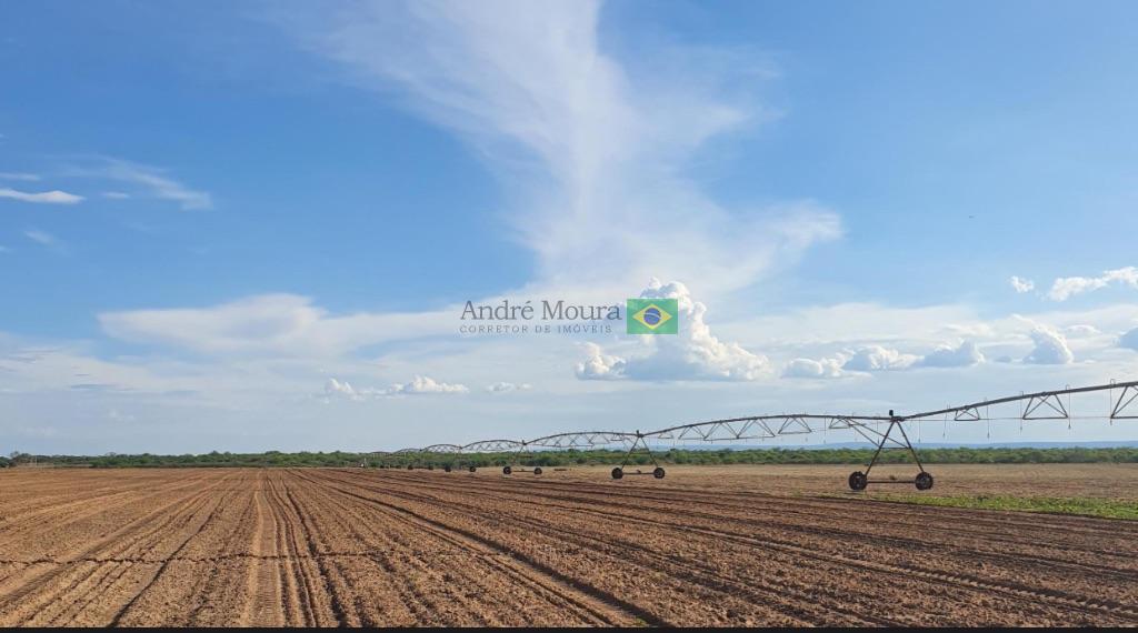 12 mil hectares para pivô bem plano 