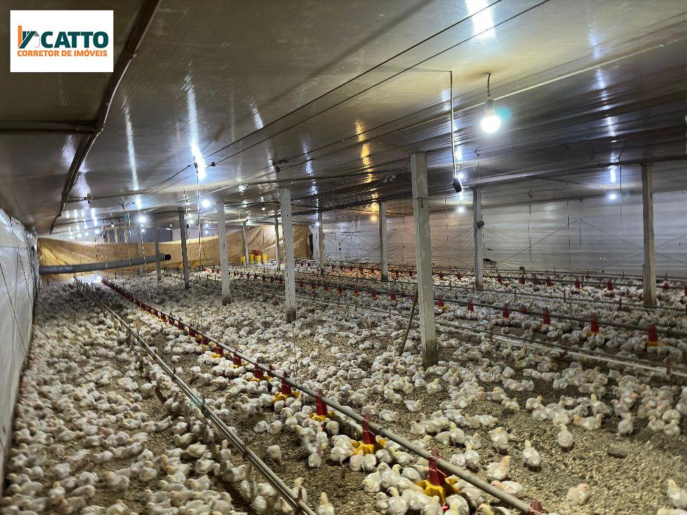 J Catto Imveis em Santa Izabel do Oeste PR