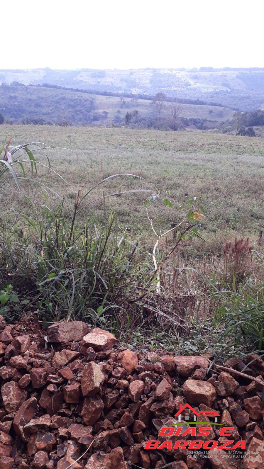 Dias e Barboza Corretores de Imveis em Ampre PR