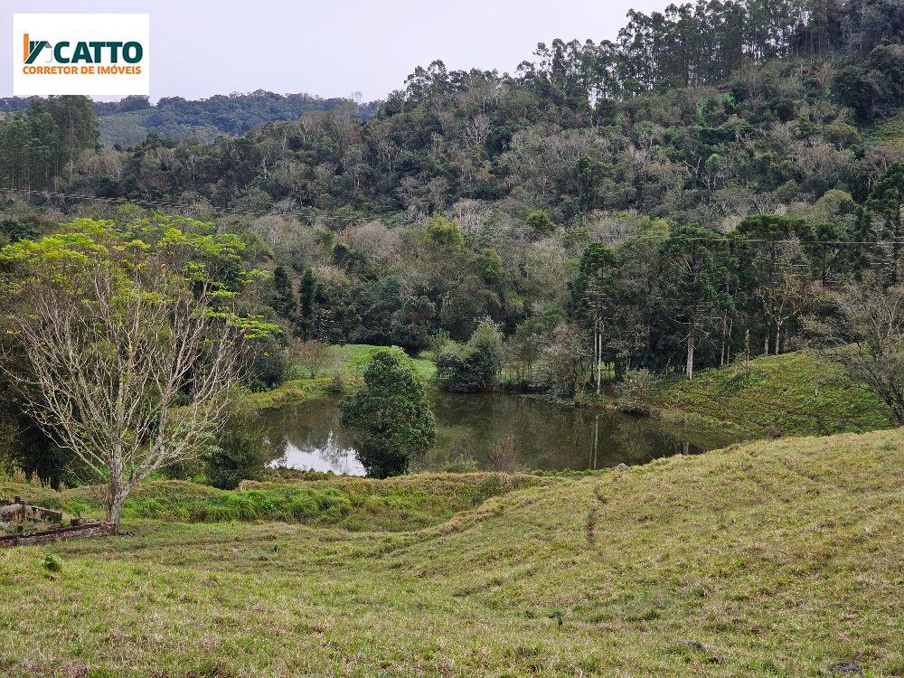 OPORTUNIDADE INCRIVEL: FAZENDA DE 35 ALQUEIRES  03 DE RESERVA E  RESTO PASTO