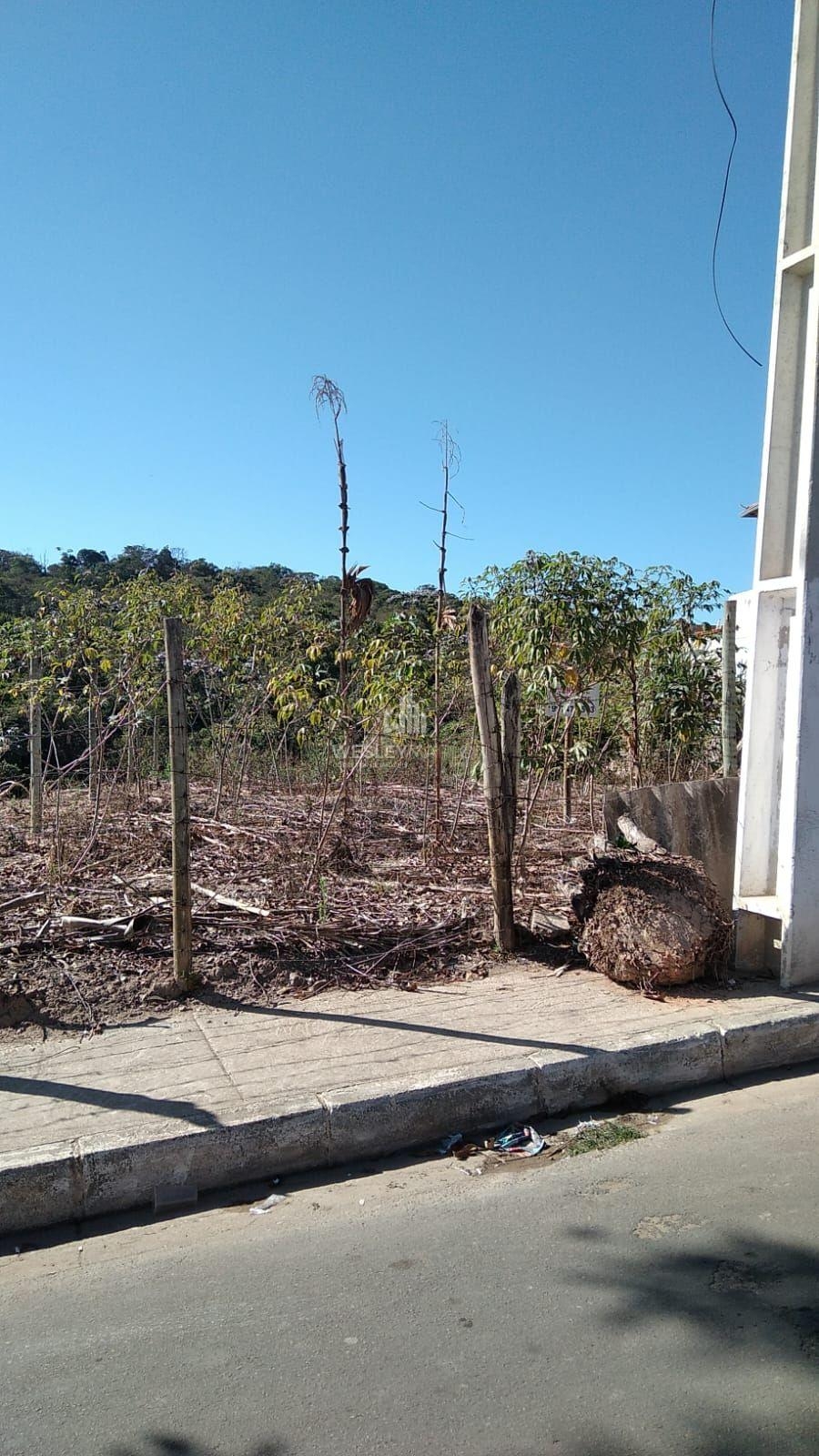 LOTE PLANO