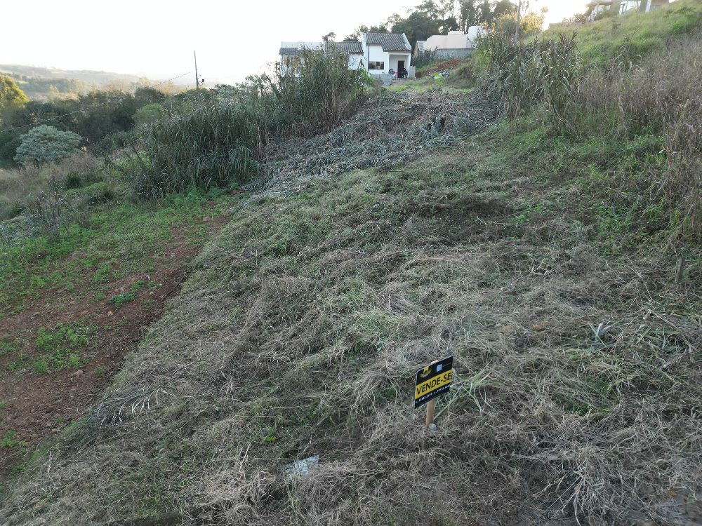 TERRENO PRÓXIMO A FUTURA HAVAN