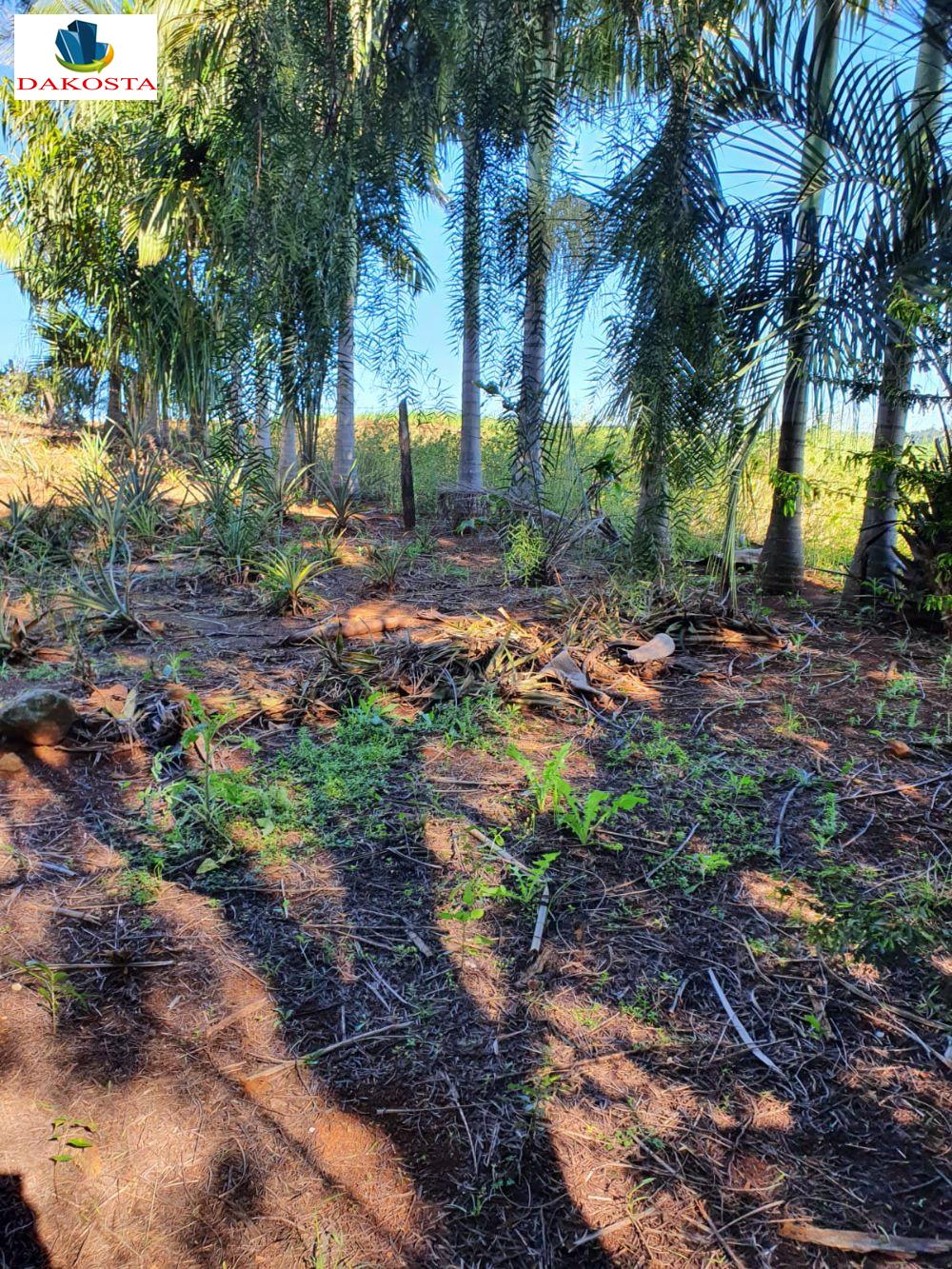 6380 Metros quadrados linda chacara dentro da cidade com mais de 500 p de fruta