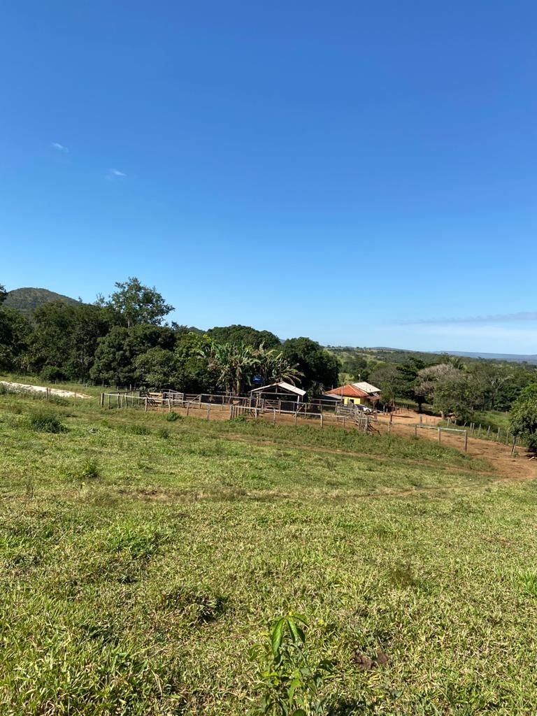 Fazenda 212,0 hectares em pecuária, Paracatu MG.