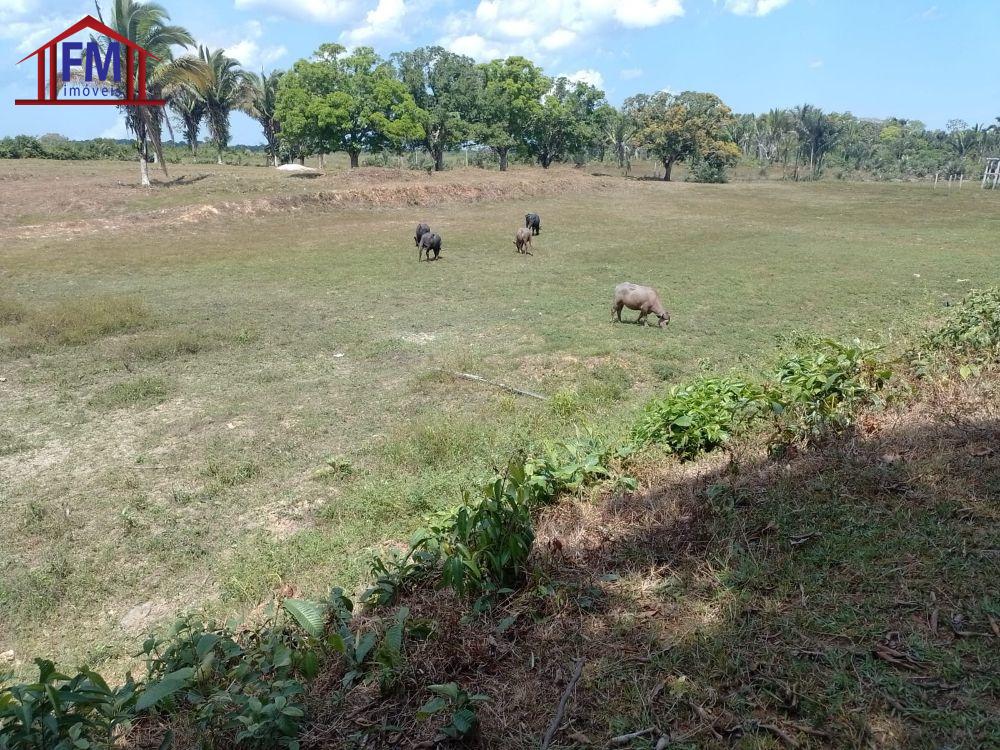 Fazenda à venda - Foto 1