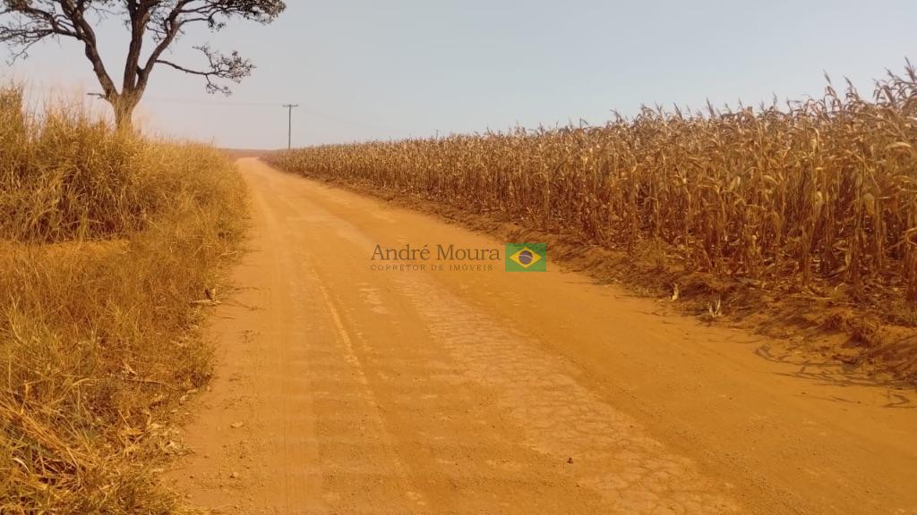 340 hectares para café com água 